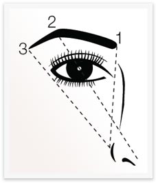Hold a pencil upright along the side of the nose to help guide you in shaping brows.