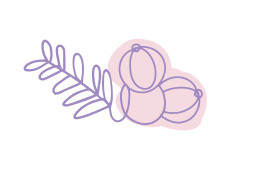 An illustration of amla fruit that represents amla fruit extract