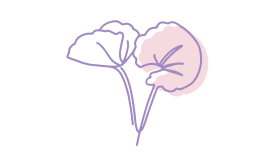 An illustration of a plant that represents Gotu Kola