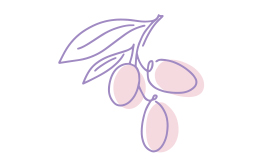 An illustration of a plant that represents squalane