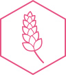 A graphic representation of French lavender extract, a component of Botanical Wrinkle-Limiting Technology 